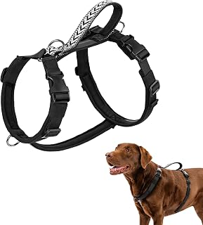 Arblina Hundegeschirr, Ausbruchsicheres Antizuggeschirr für Kleine, Mittlere und Große Hunde, Hundegeschirr Gepolstert mit Front Clip und Weichem Griff für Training, Spaziergänge und Laufen, Schwarz S