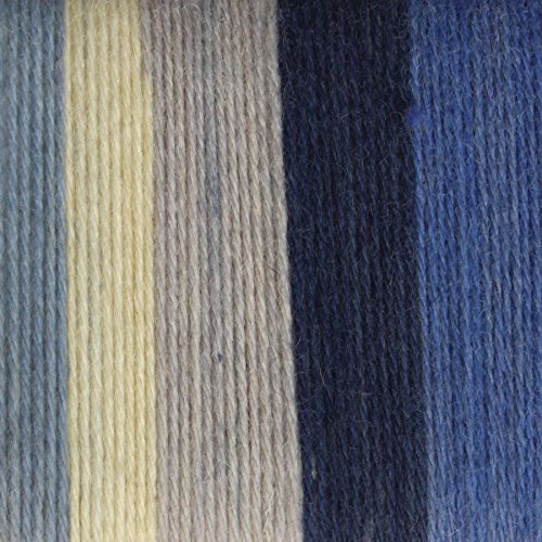 Image of Spinrite Yarns Patons Kroy Socks, 1.75 Ounce, Coastal