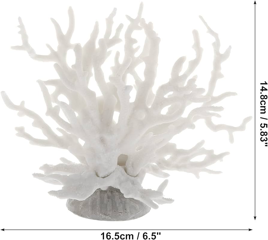 61Nibg0WrFL._AC_UF894, 61Nibg0WrFL._AC_UF894,