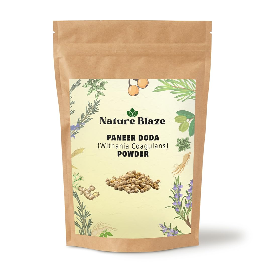 Nature Blaze Indian Rennet | Paneer Doda | Paneer Doda Phool | Paneer Dodi | Withania Coagulans With Nature's Goodness (Paneer Doda Powder-500 Gm/17.6