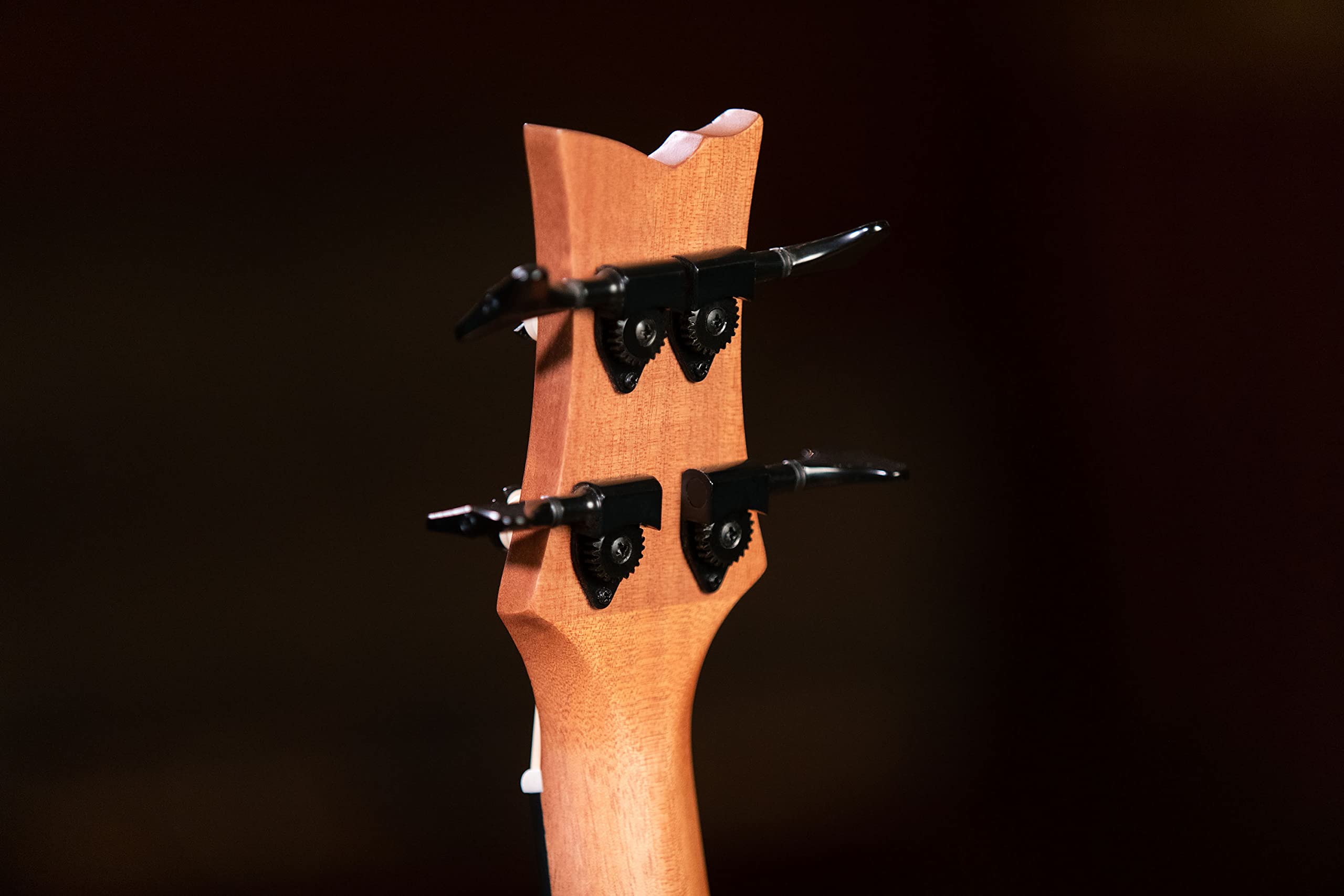 Ortega Guitars Bass Ukulele Elektro-Akustisch – ohne Bundstäbchen – Lizard Series – Inklusive Gig Bag – Mahagoni, Natur (LIZZY-BSFL-GB)