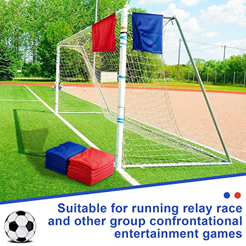 12 Pcs Mesh Scrimmage Team Practice Vests Pinnies Jerseys For Children Youth Sports Basketball, Soccer, Football, Volleyball Training Equipment (Large) Red And Blue #TOP6