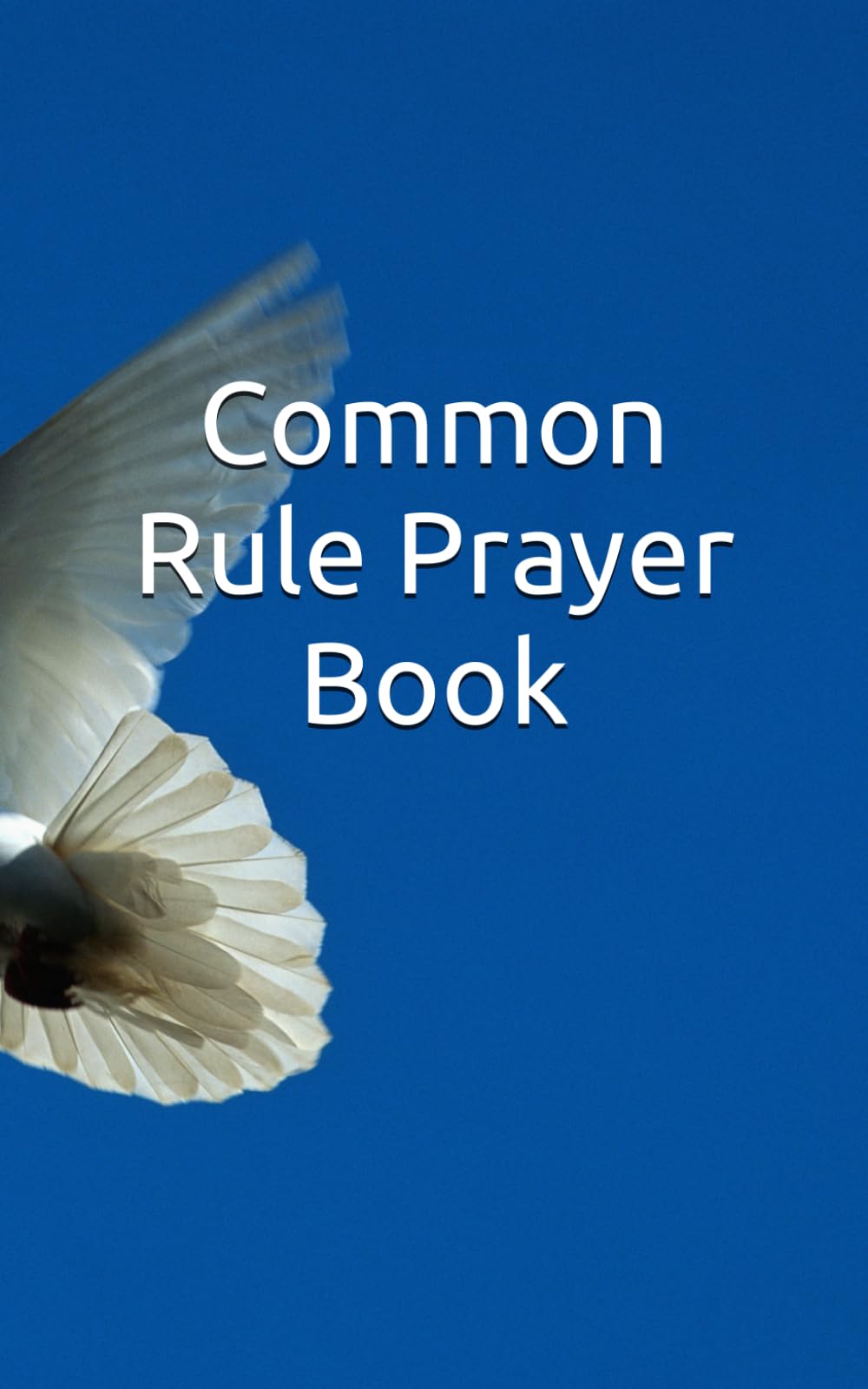 Common Rule Prayer Book