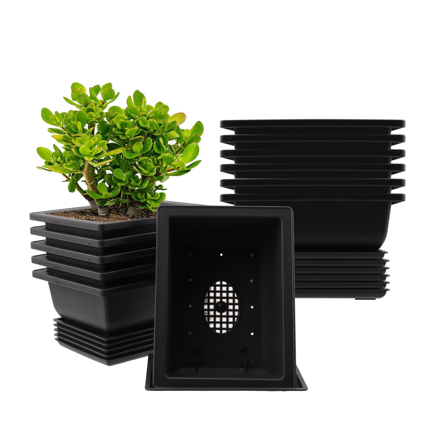 Doniczki treningowe bonsai, 12 sztuk, 16,5 x 12,3 cm, doniczki bonsai z podstawk?, plastikowa doniczka na bonsai, tworzywo sztuczne, doniczka na ro?liny do salonu, biura, ogrodu