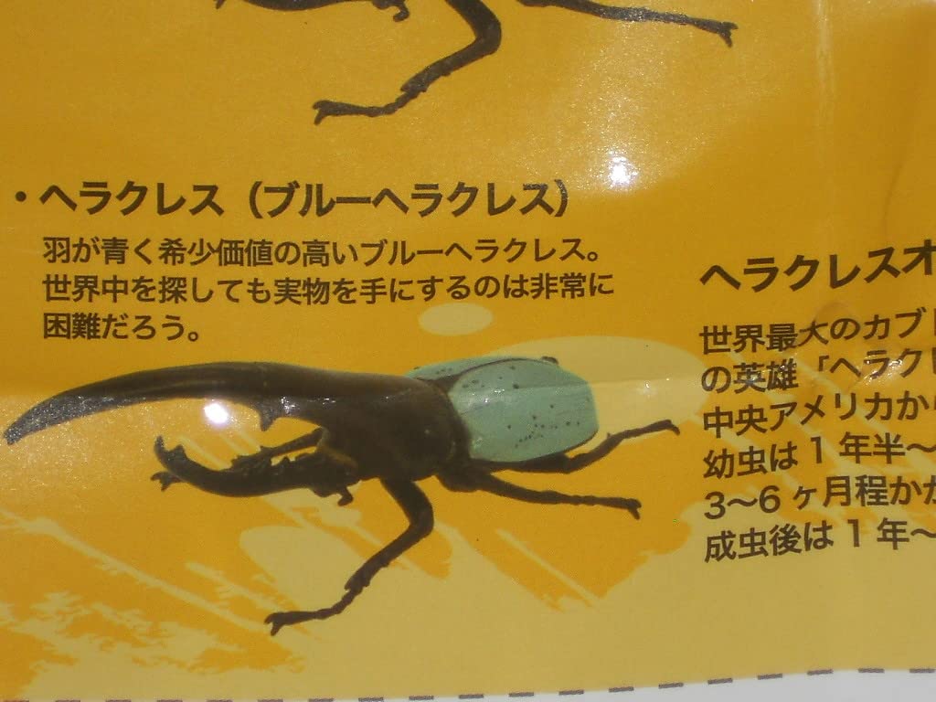 Amazon.co.jp: 1/1 ヘラクレスオオカブト 全3種set 特大約175mm/ブルー