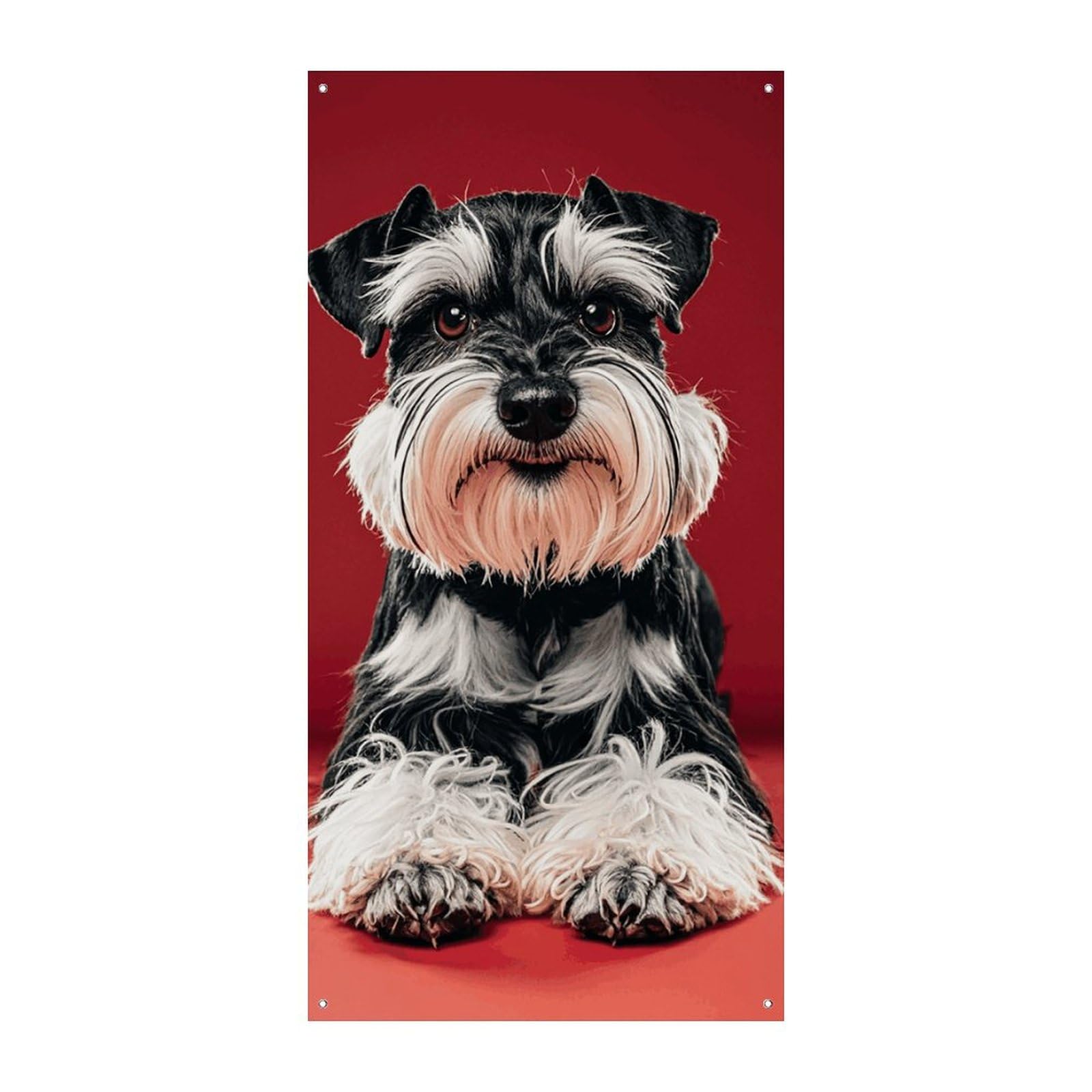 My Daily Welcome Gartenflagge Mit Schnauzer-Motiv – 30,5 X 45,7 Cm, Doppelseitig, Aus Polyester