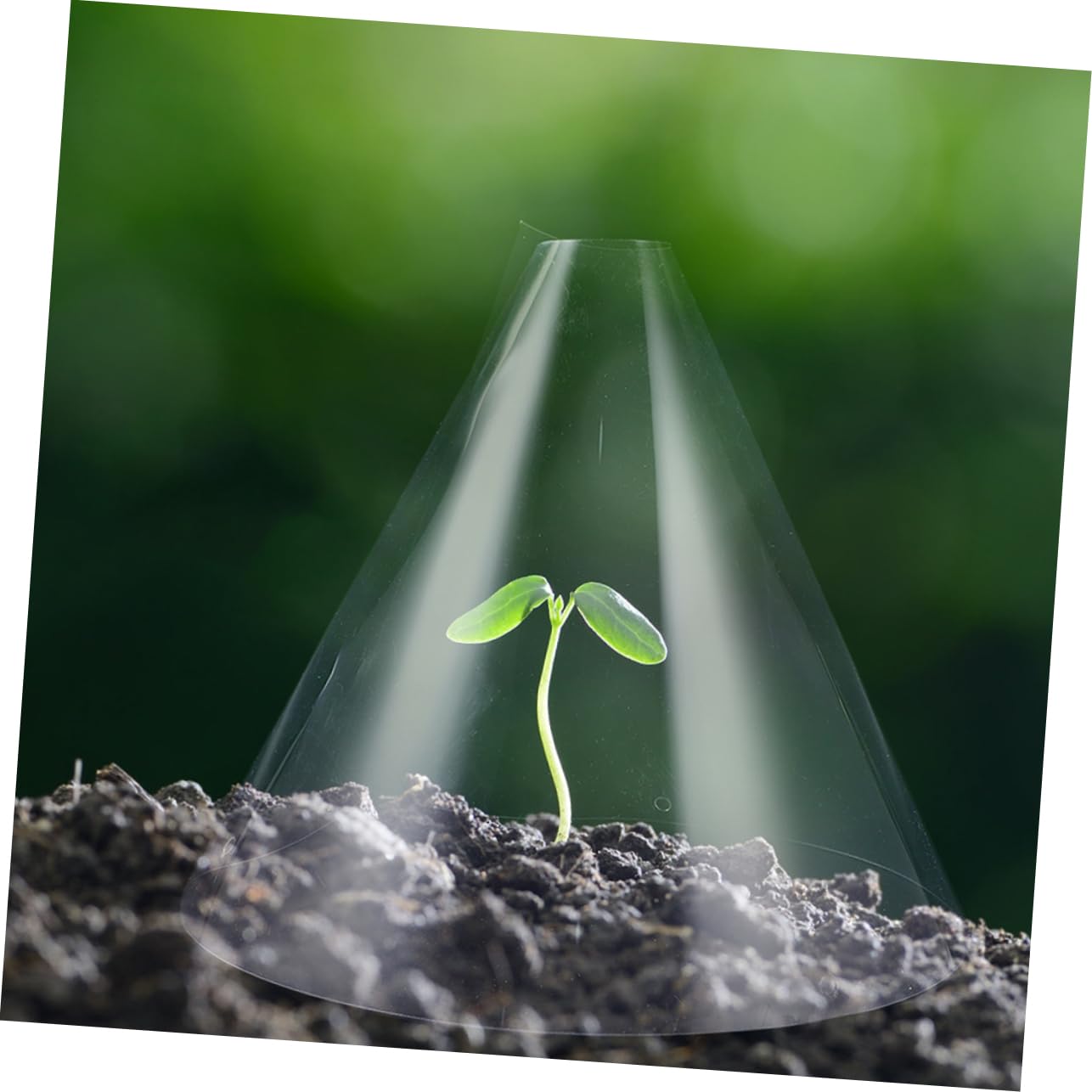 Abaodam Cloches per Piante Riutilizzabili 30 Pezzi in Plastica per Giardino