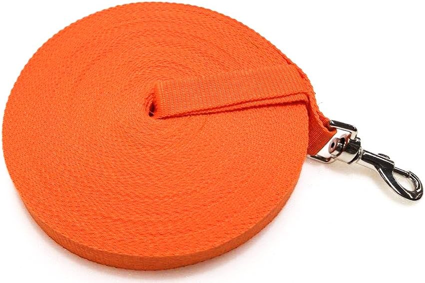 casse per cani orvis