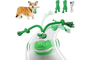 Peppy Pet Motion Ball, Interactive Dog Toy, USB Rechargeable, Motion Activated
