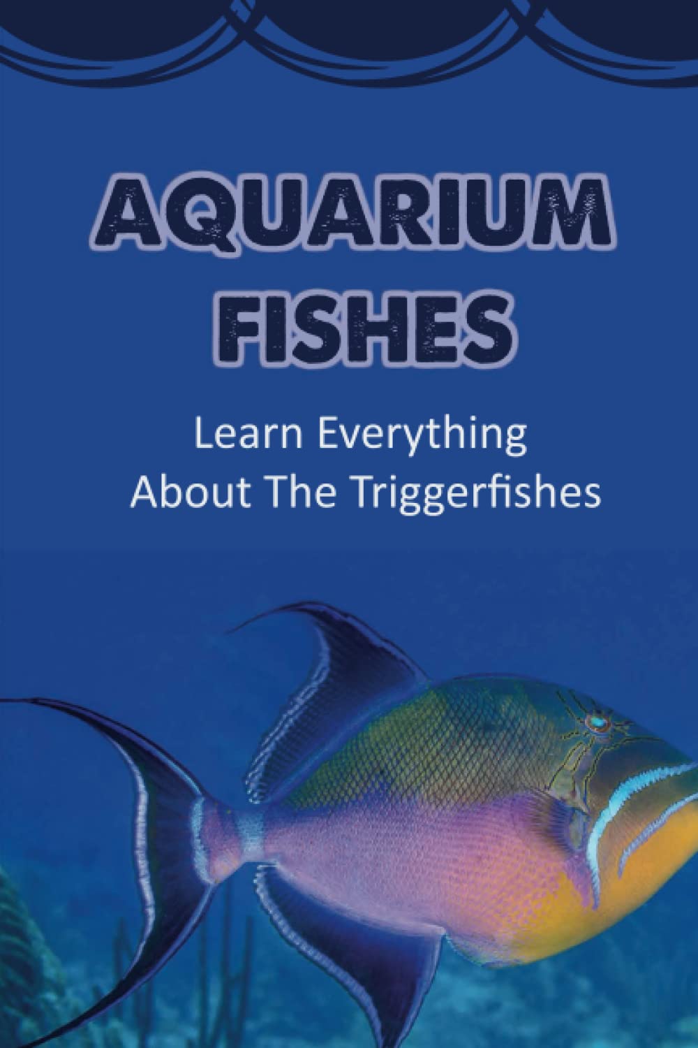 The Triggerfish Truth: Learn Everything About The Triggerfishes