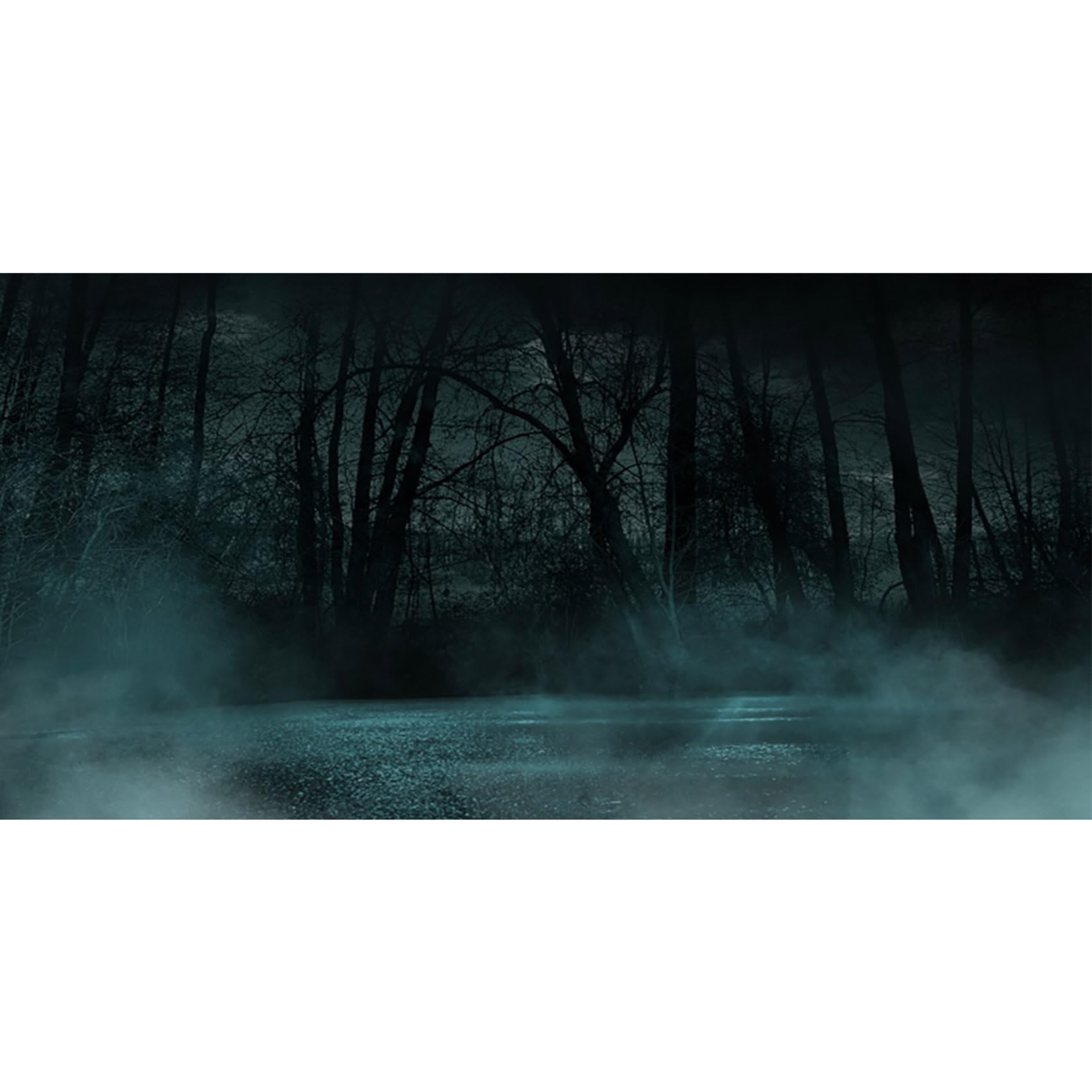 MIRRORANG 61x30cm Dark Scary Aquarium Background Trees Road Mist Horror Night Vinyl Durable Spooky Fish Tank Background