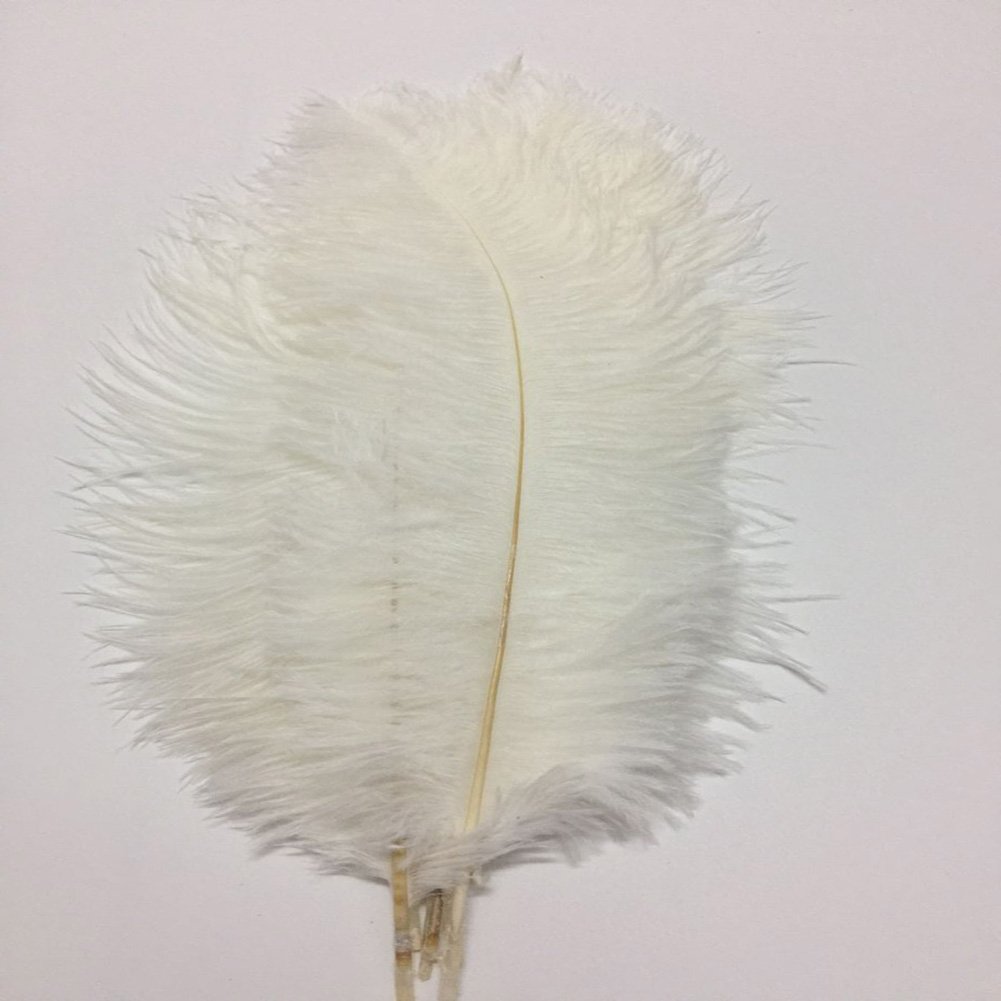 XZEN 11.5"-13.5" Ostrich Feather Plume Decoration DIY Craft Pack of 10 PCKJ00001 10PCS