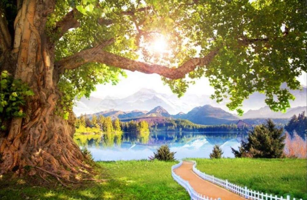 Natural Lake Wallpaper 3d Cheap 3D Murals Modern Nature Landscape