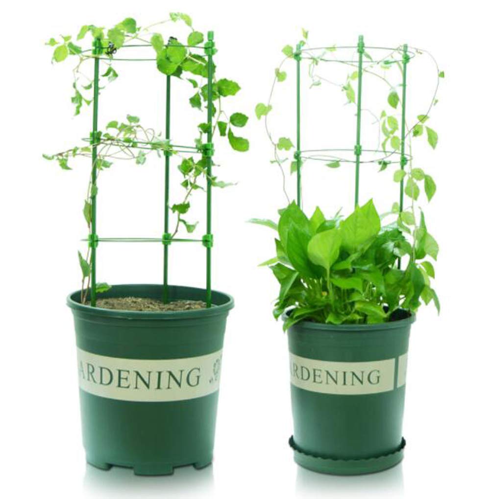 Amazon | HJ 園芸支柱 支柱パーツ 観葉支柱 鉢植え 観葉支柱 フラワー