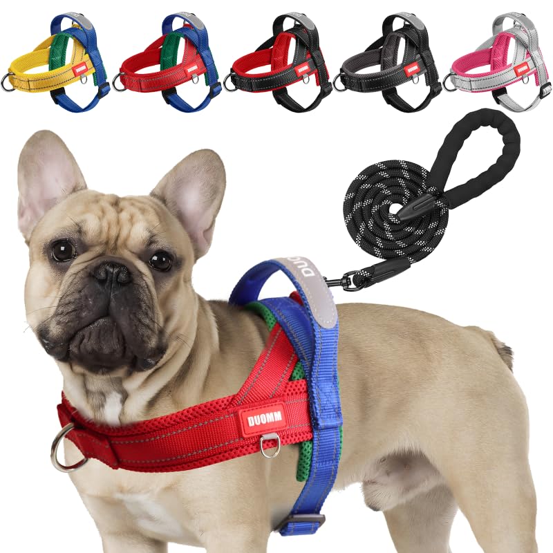 LiebeDD Hundegeschirr mit Leine für Mittelgroße Kleine Hunde Welpen, Bunt Farbblock Geschirr, Mesh Gepolstert Brustgeschirr Hund mit Griff und Brustring, Reflektierend & Leicht, RotBlau, S