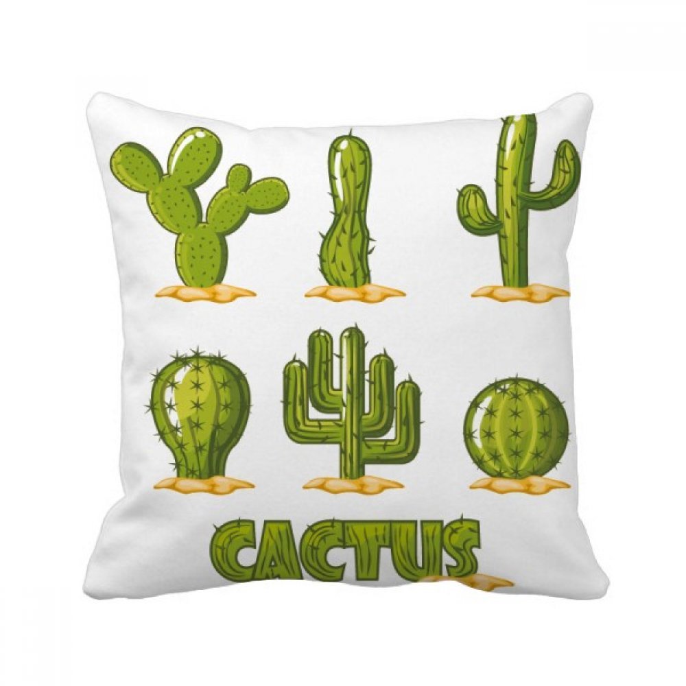 Oreiller de cactus multicolore et housse de coussin déco 40x40 cm pour maison