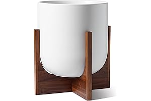 LE TAUCI Ceramic Plant Pot with Acacia Wood Stand - Modern Cylinder...