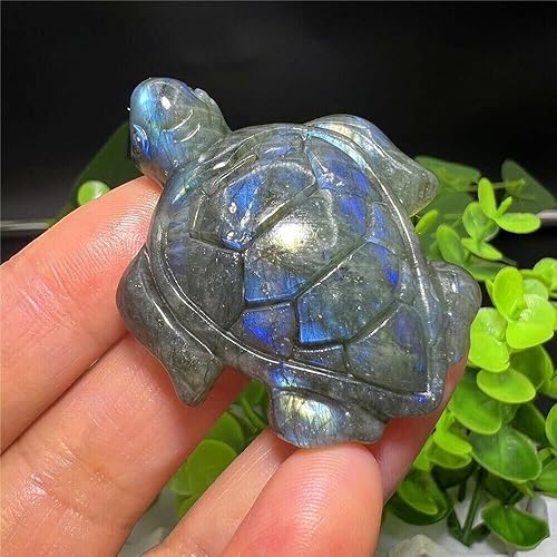 Miniatura 2 de TEAMWILL Labradorita natural tallada a mano tortuga cráneo cuarzo cristal curativo Reiki 1pc