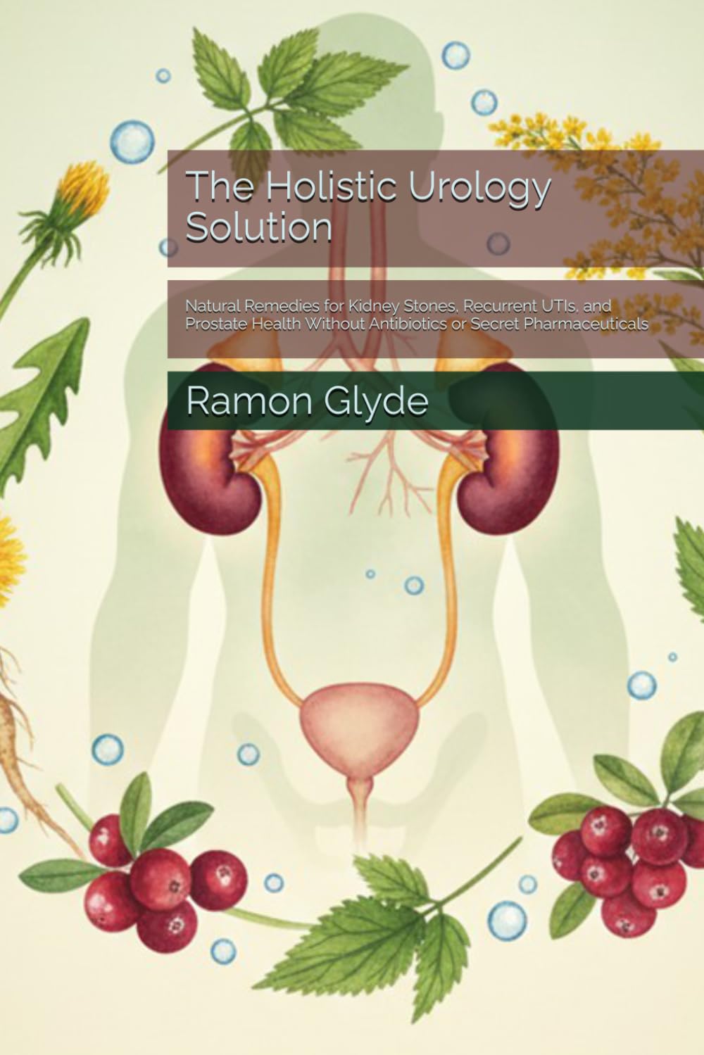 The Holistic Urology Solution: Natural Remedies for Kidney Stones, Recurrent UTIs, and Prostate Health Without Antibiotics or Secret Pharmaceuticals