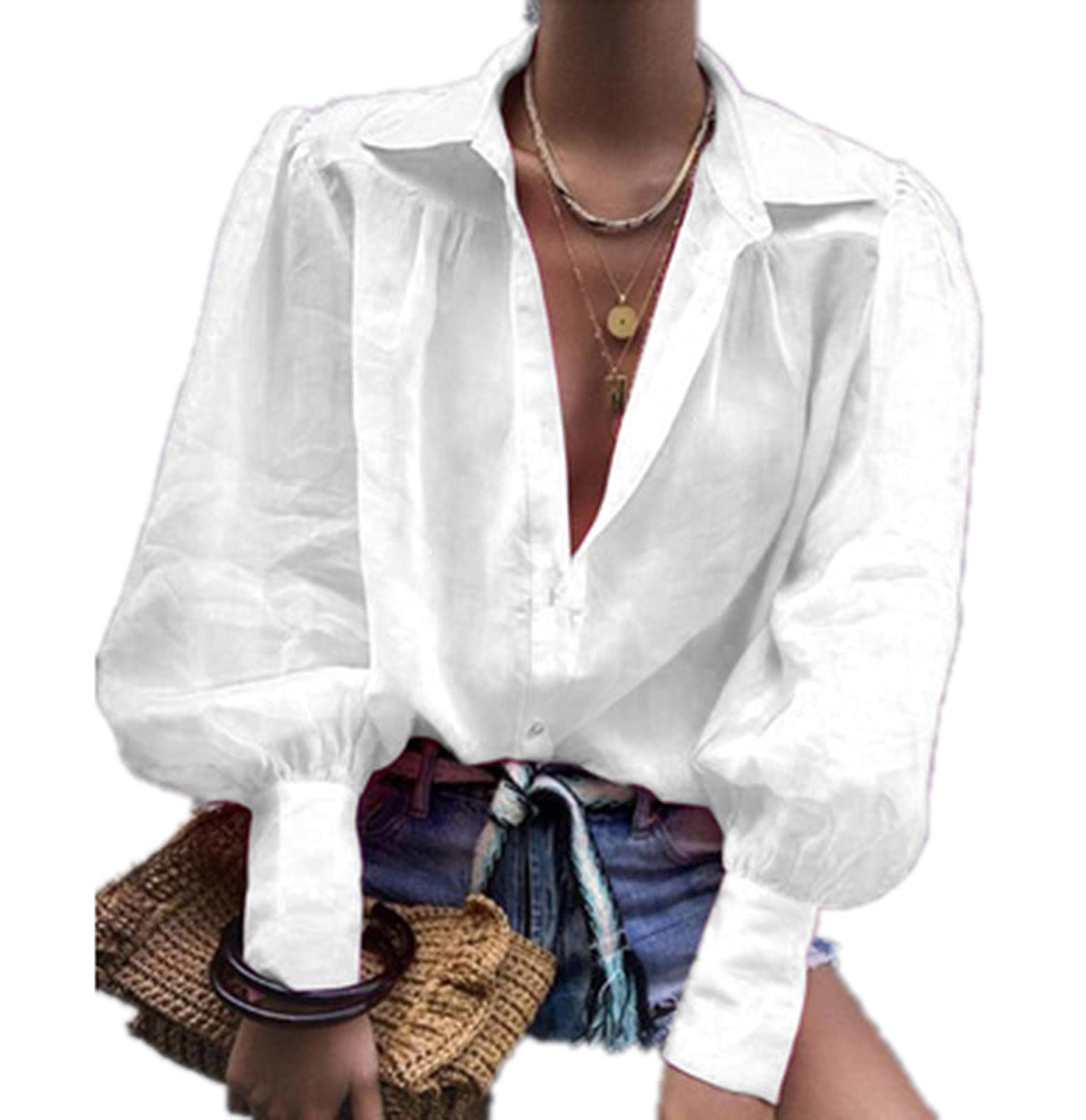 Manymany Women's 13 Lantern Sleeve Blouses Print Tops Puff Sleeve Sheer Chiffon Stand Collar Shirt