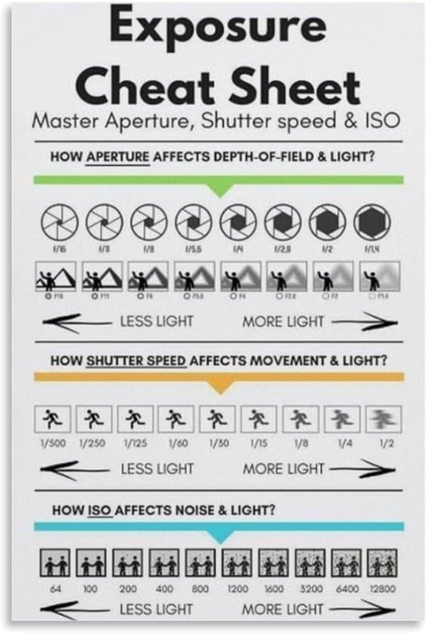 LLBOGRGGN Digital Photography Poster Exposure Cheat Sheet Quick Reference Guide for DSLR Mirrorless Cameras Canvas Wall-Art Print Decor(Unframed,08x12inch(20x30cm))