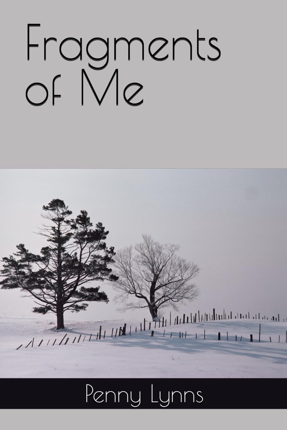 Fragments of Me