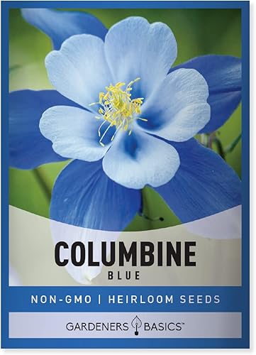Blue Columbine Seeds for Planting (Aquilegia Seeds) - Hermosa flor perenne azul para plantar en tu jardín de flores, polinizada abierta, sin OMG por