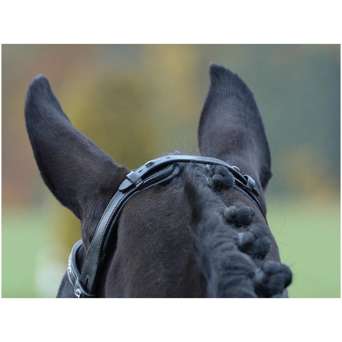 Busse William Hunter Equestrian Emotion - Brida para caballo (cristal), color negro y blanco