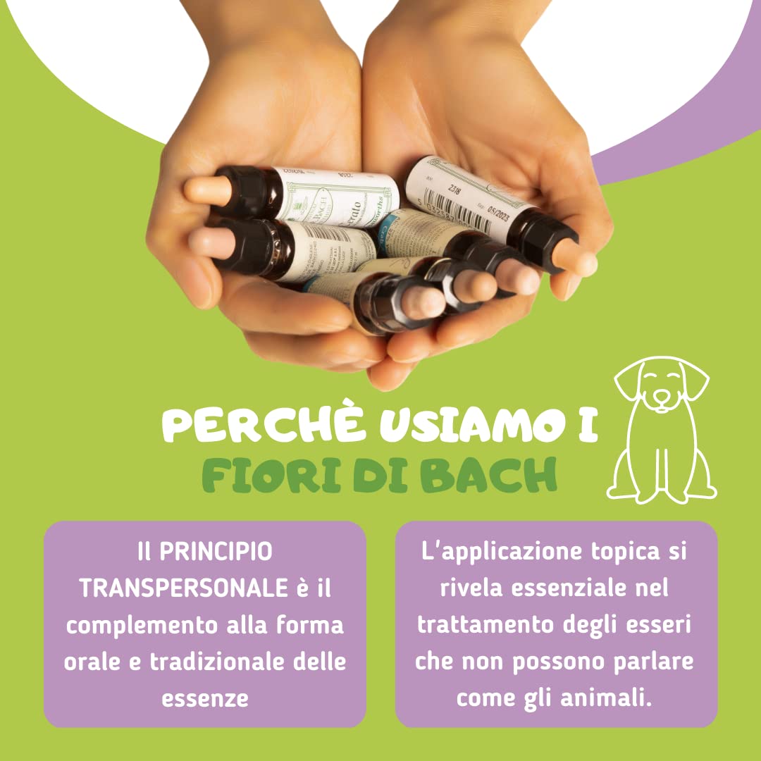 LISINA DERMO Gel - Pulizia delle Rughe e delle Pieghe cutanee del Cane - Utile in Caso di dermatite atopica e malassezia-Formula Naturale Human Grade con Oli Essenziali e Fiori di Bach