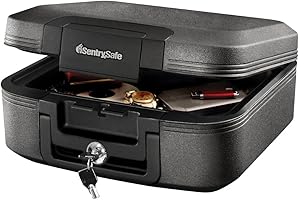 SentrySafe Charcoal Fireproof and Waterproof Safe Box with Key Lock