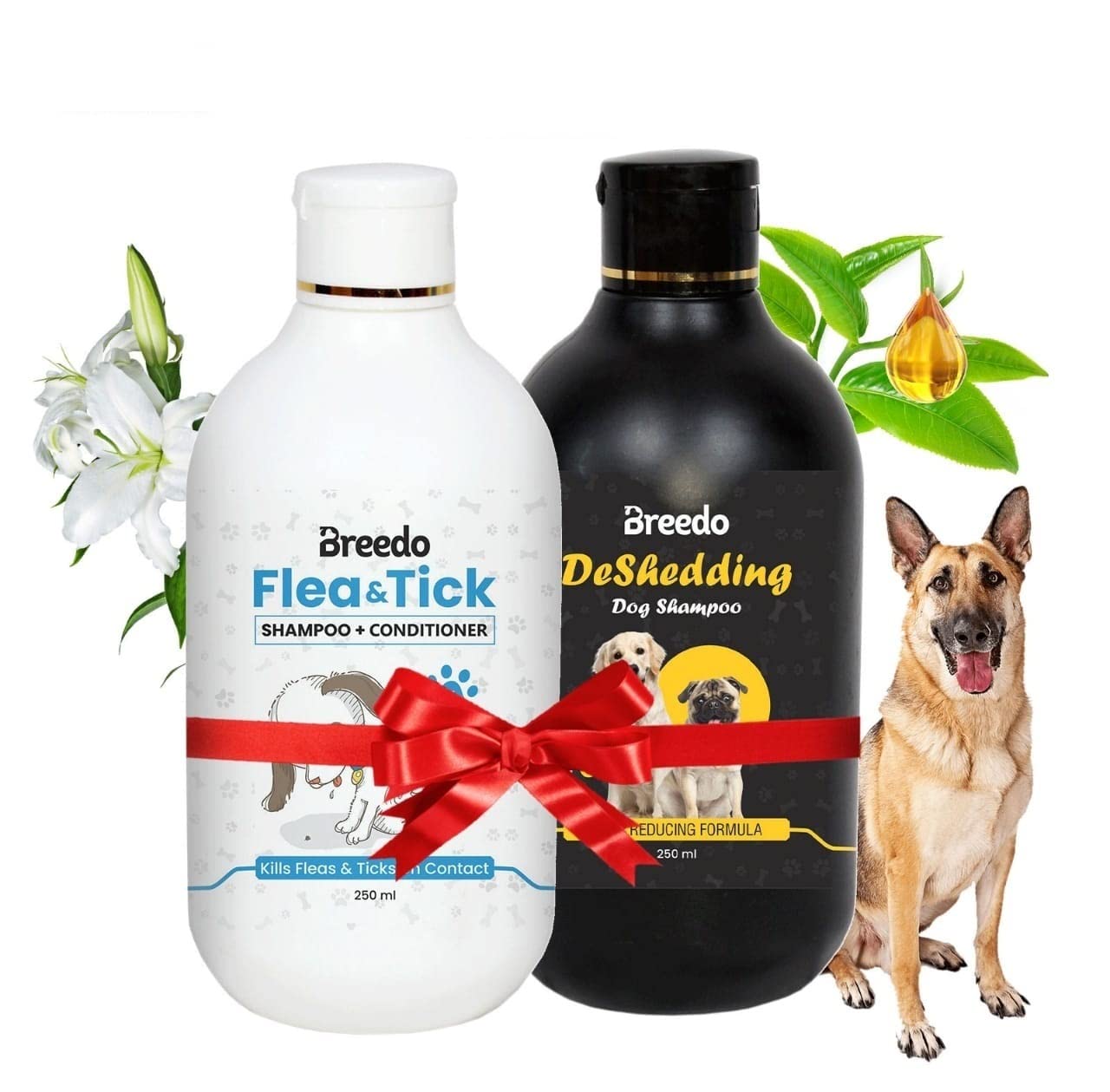Dog Shampoo | Ditch to Itch & Dog Anti Dandruff Shampoo - (500ml)| Dog Shampoo for Labrador and Golden Retriever| Pet Shampoo for Dogs| Shampoo for Dogs(Combo of 2)