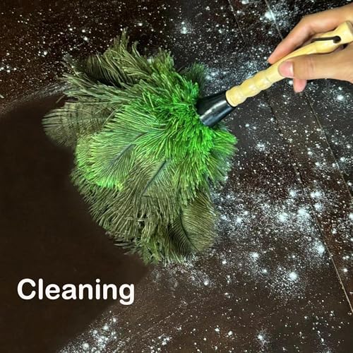 Image of Ostrich Feather Dusters, Naturally Soft, Easy to Dust, Multi-Purpose Use, Solid Wood Handle, 17.3'' Long, Dark Green