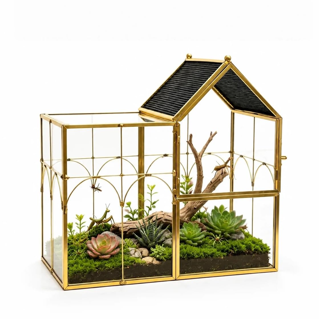 Terrario in vetro per ragni saltatori con struttura in metallo | Terrario in vetro con struttura in metallo: vista nitida, prese d'aria sicure e chiusura anti-fuga.(Gold)