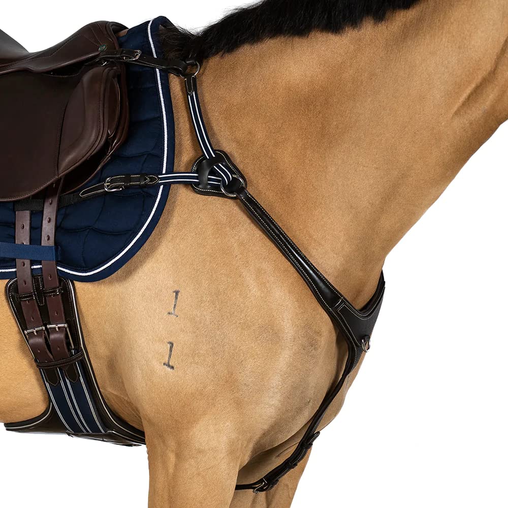 Precision Jump 5 Point Breastplate Havana with Blue and White Elastic Pony