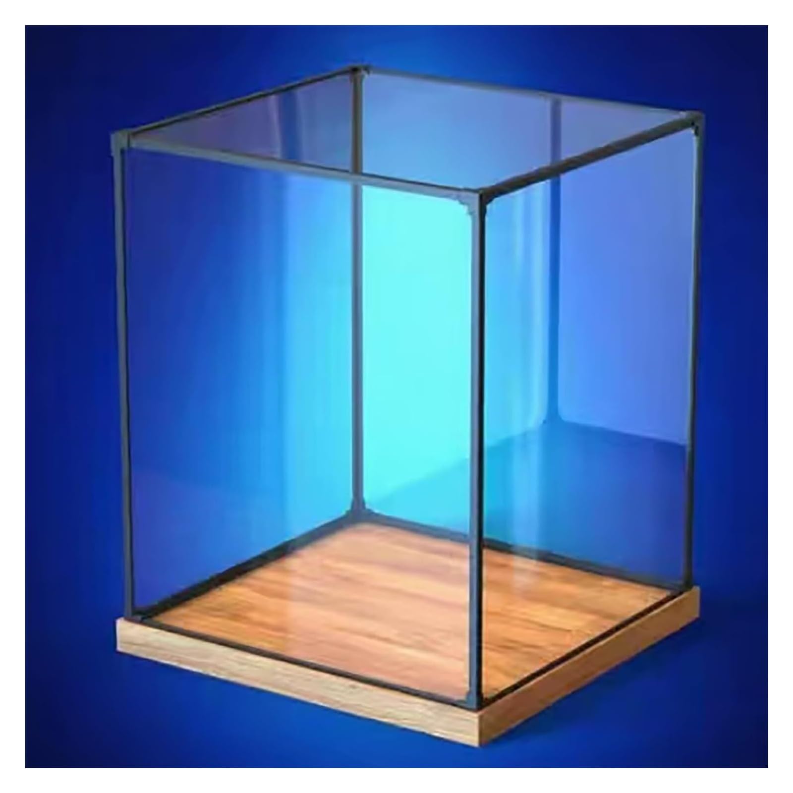 Clear Plastic Showcase, Acrylic Display Case Clear Cube Organizer Multiple Sizes Wood Base(25x25x25cm(10"x10"x10"))