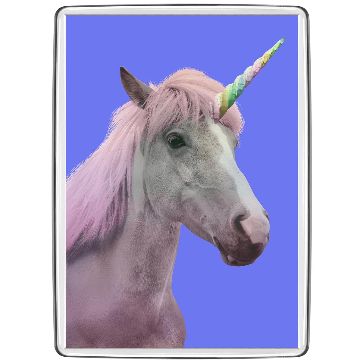 Pixly® Unicorn Fridge Magnet Large Jumbo Size Funny Joke Keepsake Novelty Refrigerator Magnets Gift