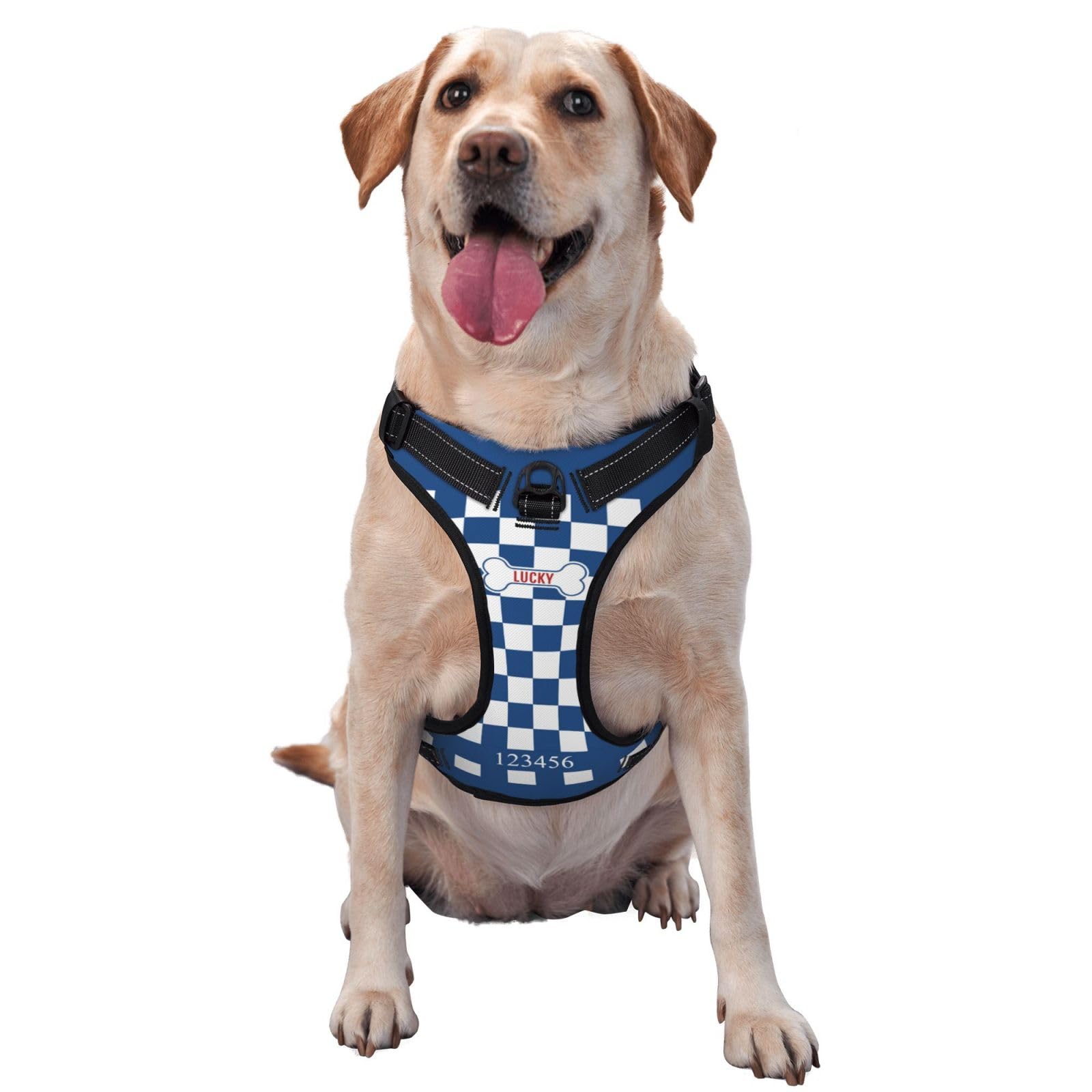 Personalized No Pull Dog Harness Leash, Custom Heavy Duty Reflective Dog Harness with Photo/Name/Phone Number/Text/Logo