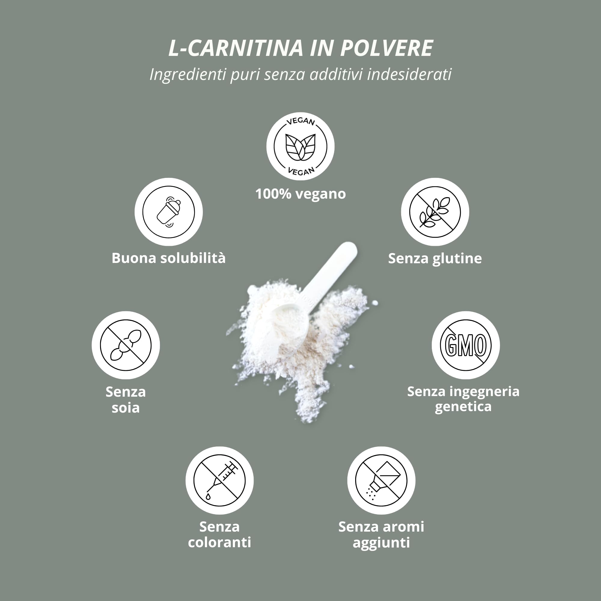 nutri + L-carnitina in Polvere - 100% Carnitina Tartrato vegan Pure Powder 250 g - 3000mg per Porzione - Acido tartarico senza Additivi