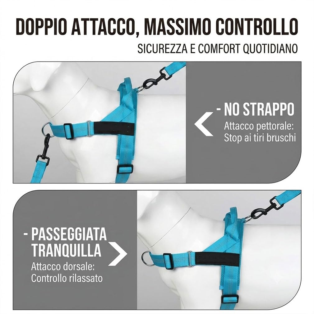 Veltrio Pettorina Cane Antitiro Regolabile, Set Complet 5-in-1 con Guinzaglio Elastico e Collare Catarifrangente, Pettorina Antitrazione per Cani Medi e Piccoli (Magenta,M)