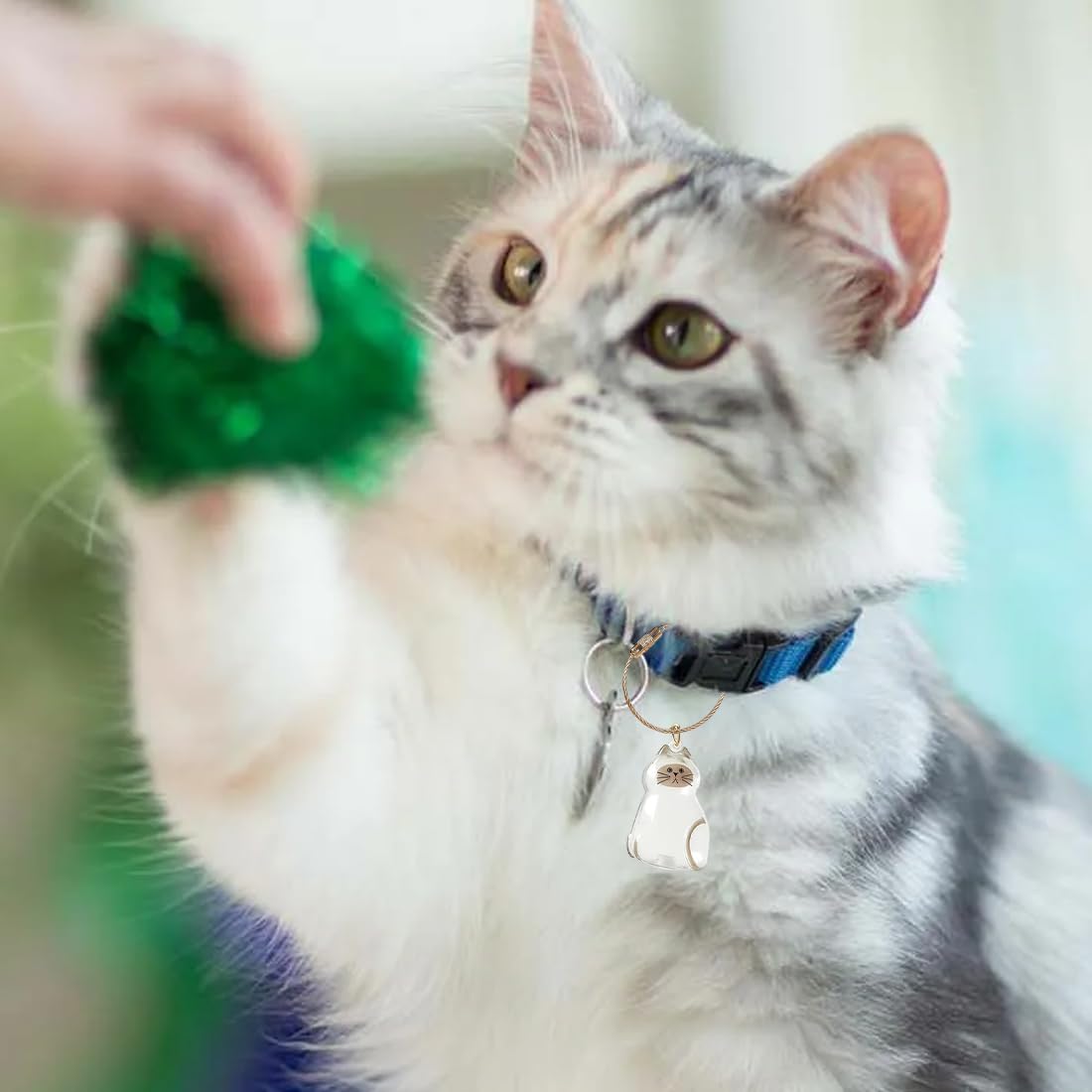 Portachiavi Pelo di Gatto in Acrilico Trasparente, Ciondolo Ricordo per Animali Domestici, 6 Pezzi