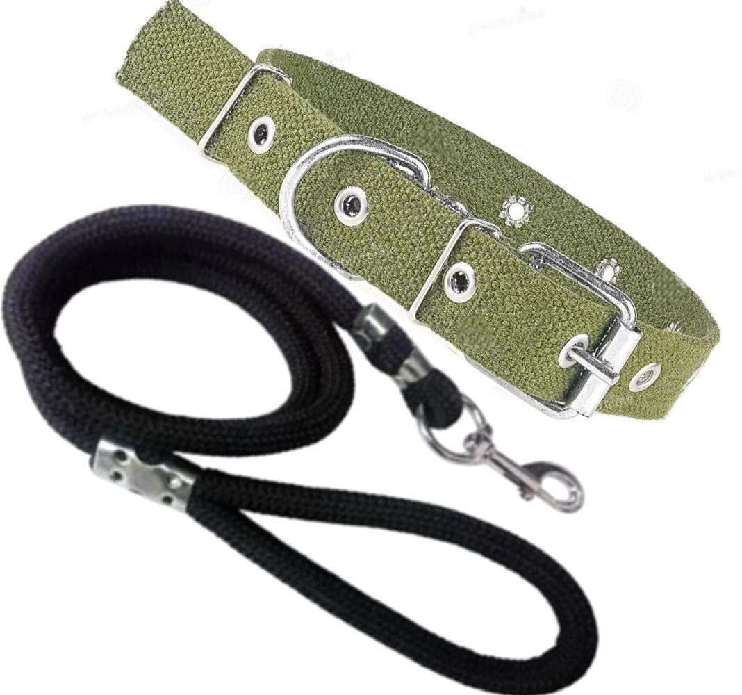SENAPATI Dog Rope & Collar Set -15 MM- Medium (Green & Black, Leash Size 1M-1.5M) (B0936L26LF) Amazon Price History, Amazon Price Tracker