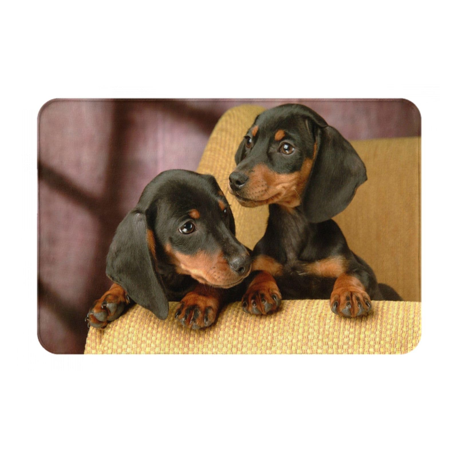 GRatka Felpudo para Exteriores, felpudos Antideslizantes para Entrada Interior, Alfombra para Patio Exterior, 40x60 cm, Cachorros de Perro Salchicha, Mascotas, Perros, Perro Salchicha pequeño