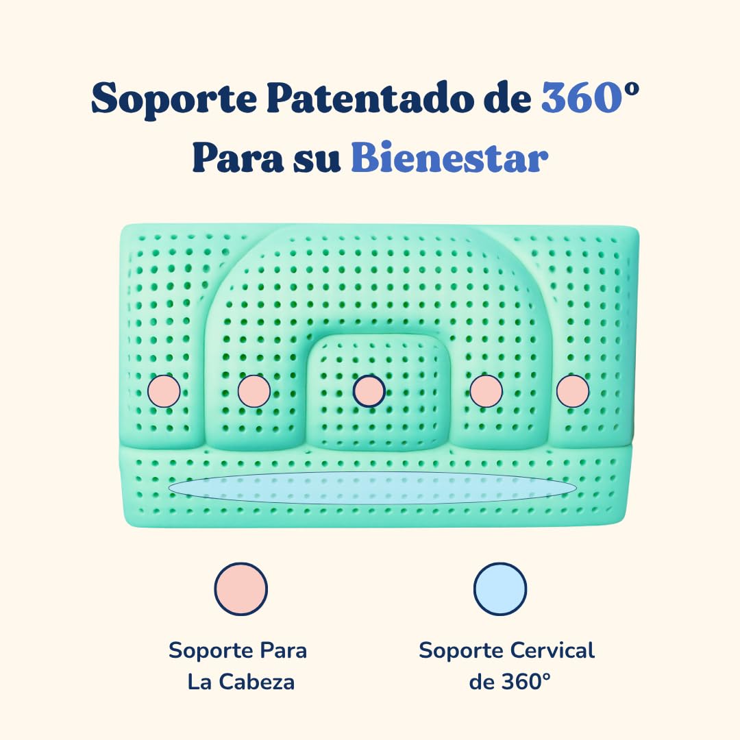 Almohada Cervical Aloe Vera – Cojín Ortopédico de Espuma Viscoelástica con Doble Altura – Alivio del Dolor de Cuello – Transpirable, Antiacaros, Hipoalergénico, Refrescante (Baja - 12 Cm)