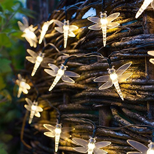 String Lights Night Light Waterproof Dragonfly Lights String Plug in Powered Female Plug (MAX 10) String LED Lights Decorations Wedding Party Christmas (Warm White, 32Feet 100Led)