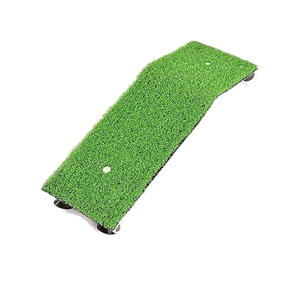 Piattaforma per tartarughe, tartaruga, arrampicata, prato, terrazza, erba finta rampa per tartarughe, granchi, rettili