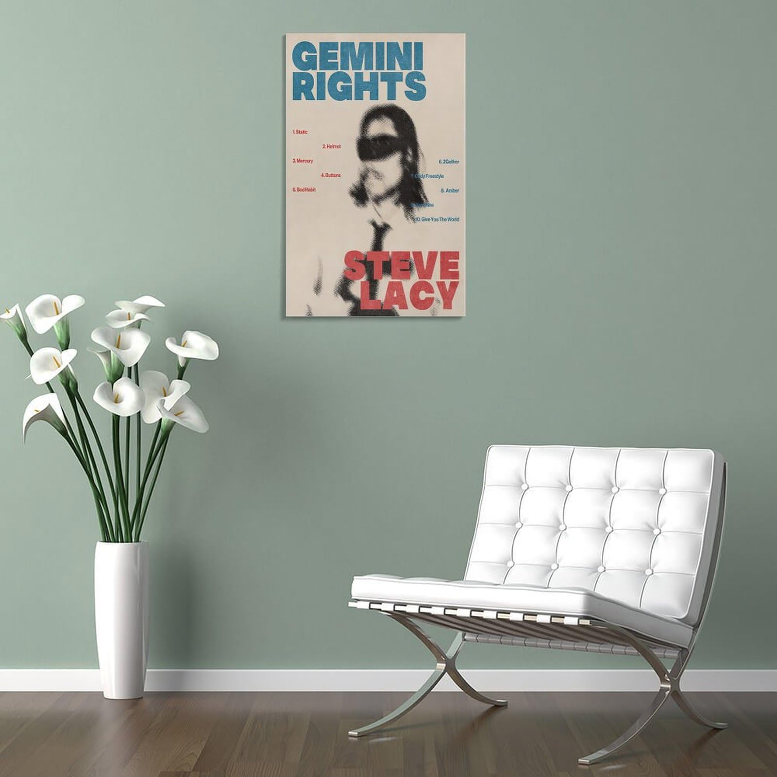 Steve Posters Gemini Rights Album Cover Canvas Wall Art Decor Print Picture Paintings For Living Room Bedroom Decor - Unframed 12x18inch( 30x45cm