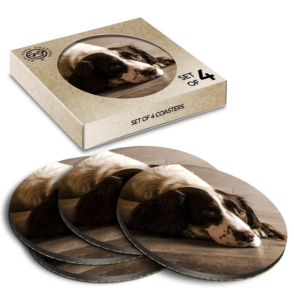 4 x Eco Boxed Cork Coasters - Springer Spaniel Dog Puppy Animals Drink Cup Mug Glass Table Mat #8725