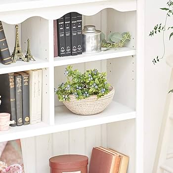 S☆ 白井産業 フリーラック 約幅75奥行26高さ160 Amazon｜白井産業 フリーラック 約 幅75 奥行26 高さ160 cm 収納