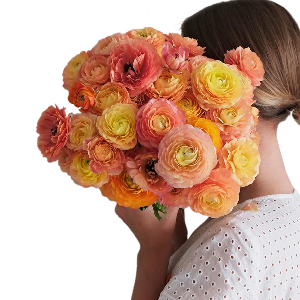 Seasonal Allergies Treatment & Symptoms | Request a prescription for allergy pills, antihistamines, nasal steroid medication, allergy eye drops from an online doctor, NP, or PA