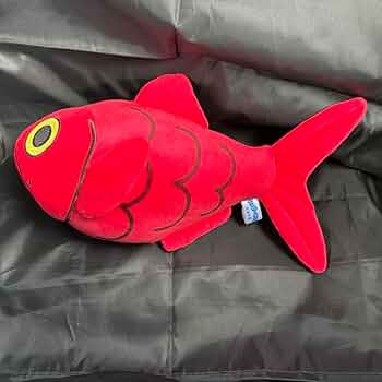 61Nl5J0L0oL._AC_UF350,